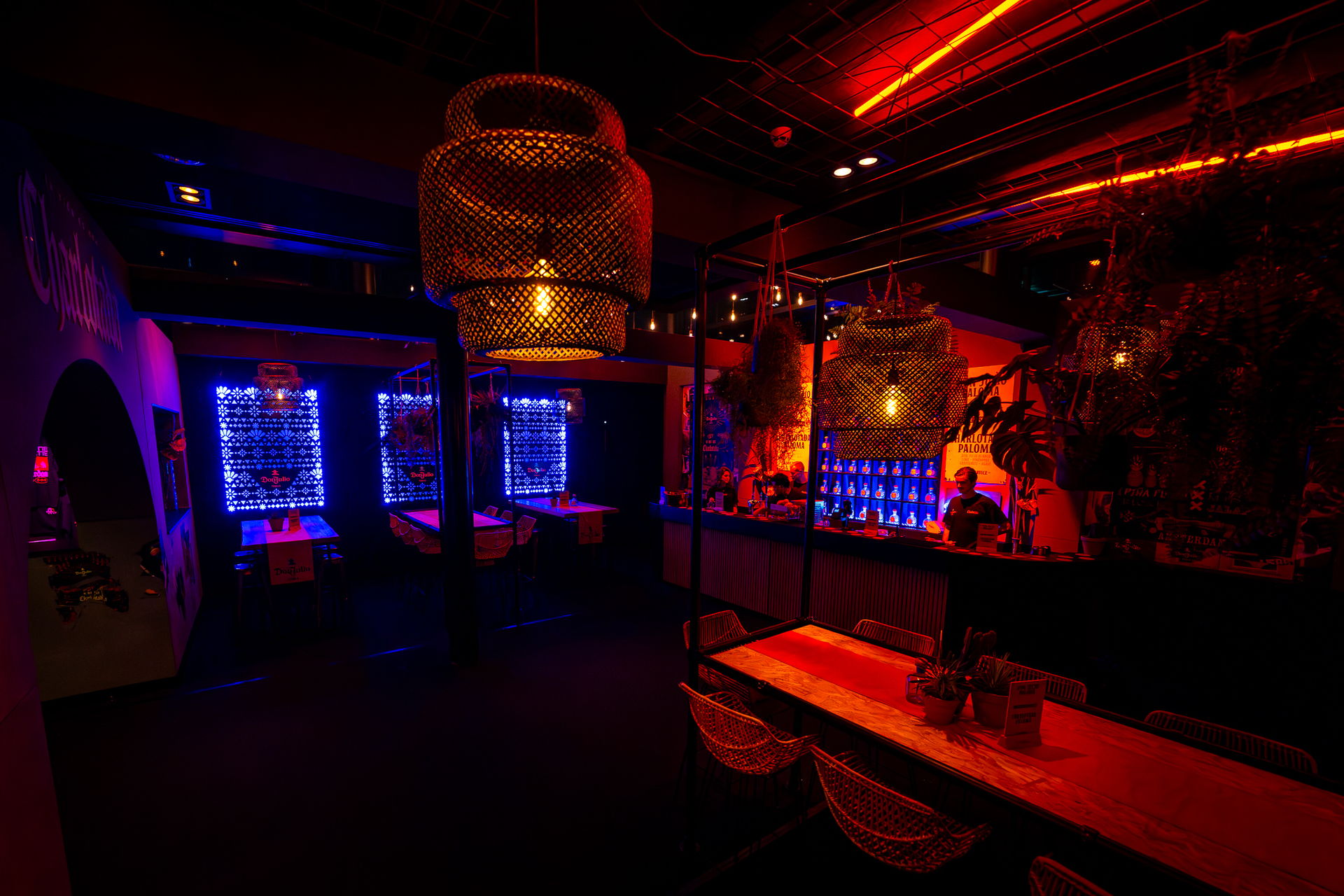 Don Julio × Charlotte de Witte, foto 6